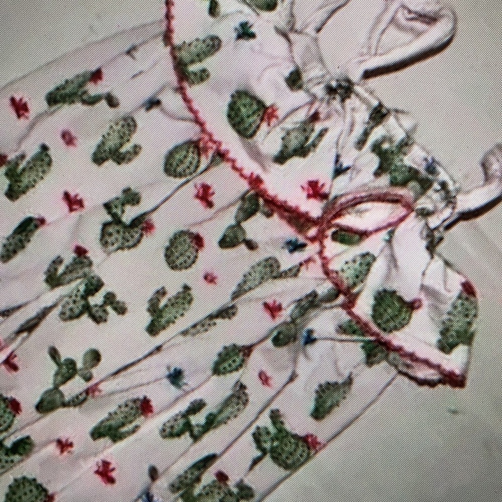 Adorable cactus print design one piece